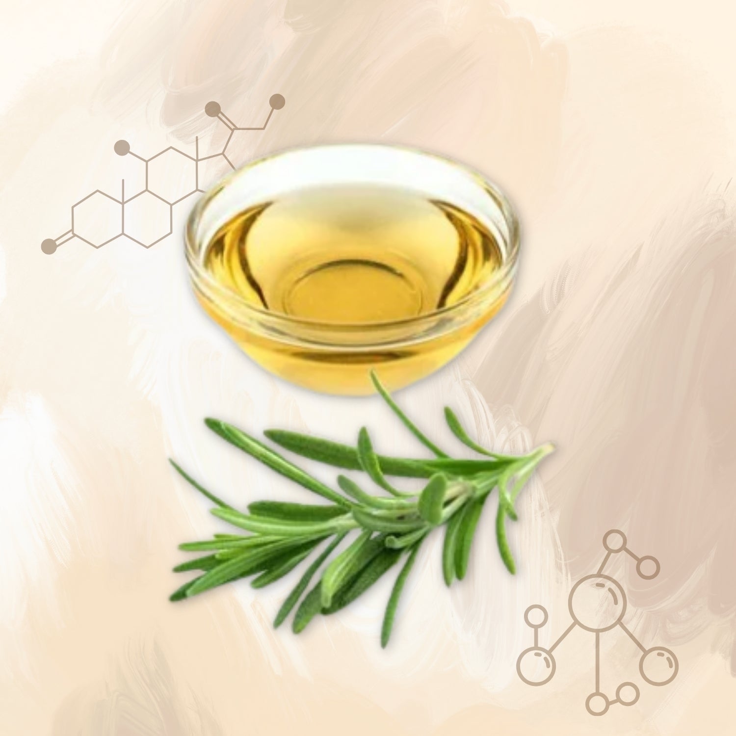 Rosemary Extract Rosemary Extract